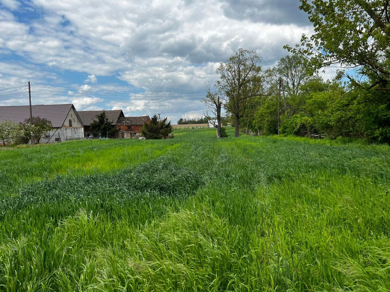 Działka budowlana Goszków. Zdjęcie 7