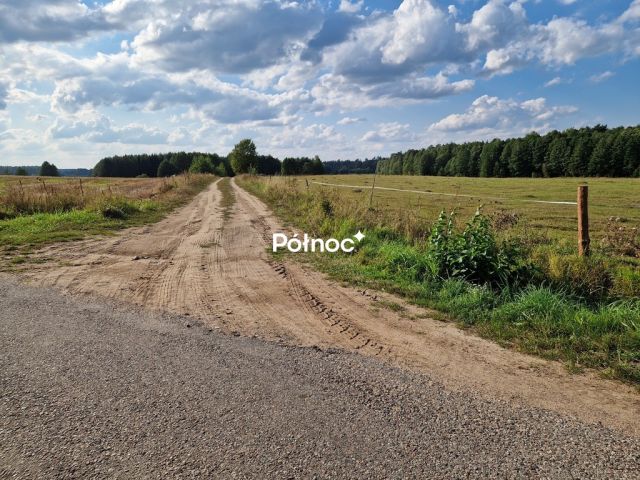 Działka leśna Krynickie. Zdjęcie 19