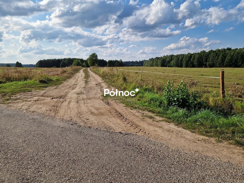 Działka leśna Krynickie. Zdjęcie 19