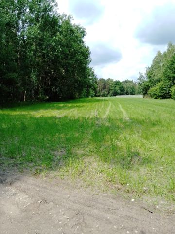 Działka rolno-budowlana Zofia. Zdjęcie 1