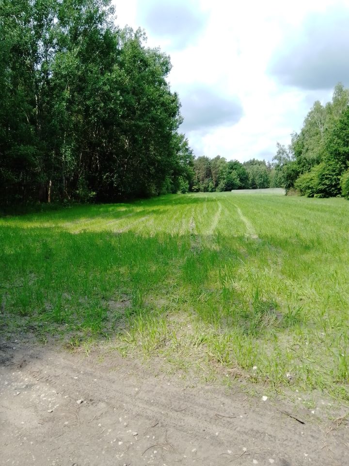 Działka rolno-budowlana Zofia