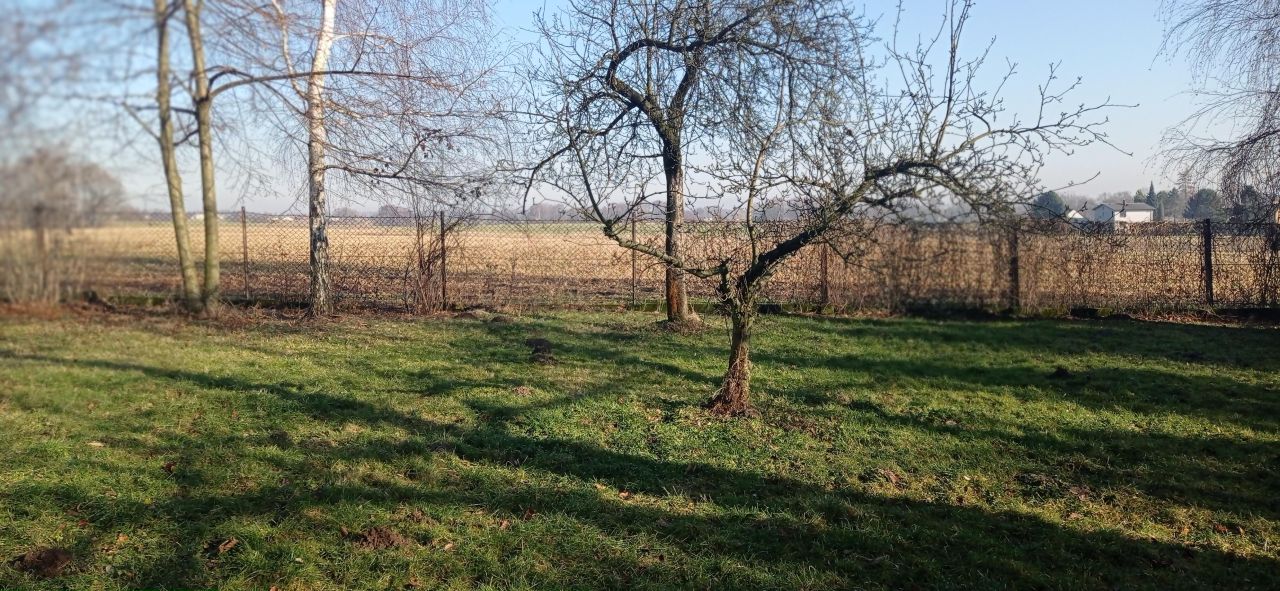 gospodarstwo, 7 pokoi Rudołtowice, ul. Wincentego Witosa. Zdjęcie 20