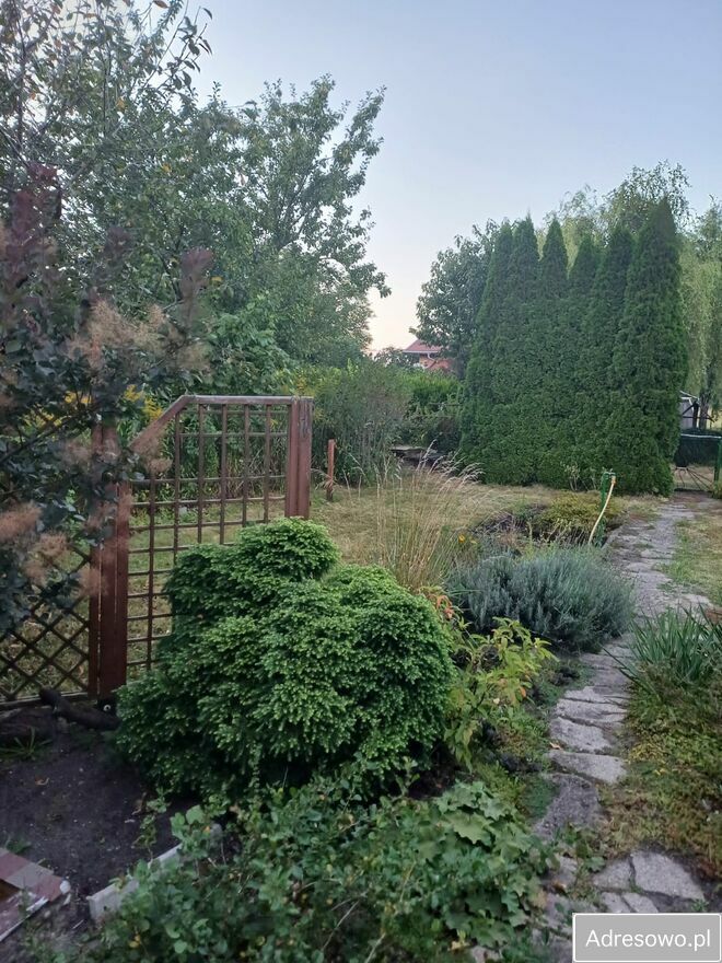 Działka rod Poznań. Zdjęcie 6