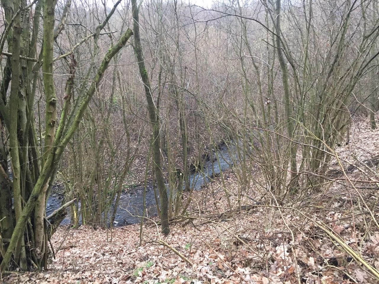 Działka budowlana Pinino. Zdjęcie 10