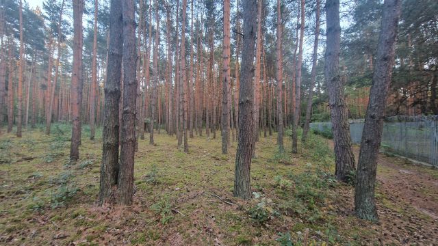 Działka budowlana Kajetany, ul. Mokra. Zdjęcie 1