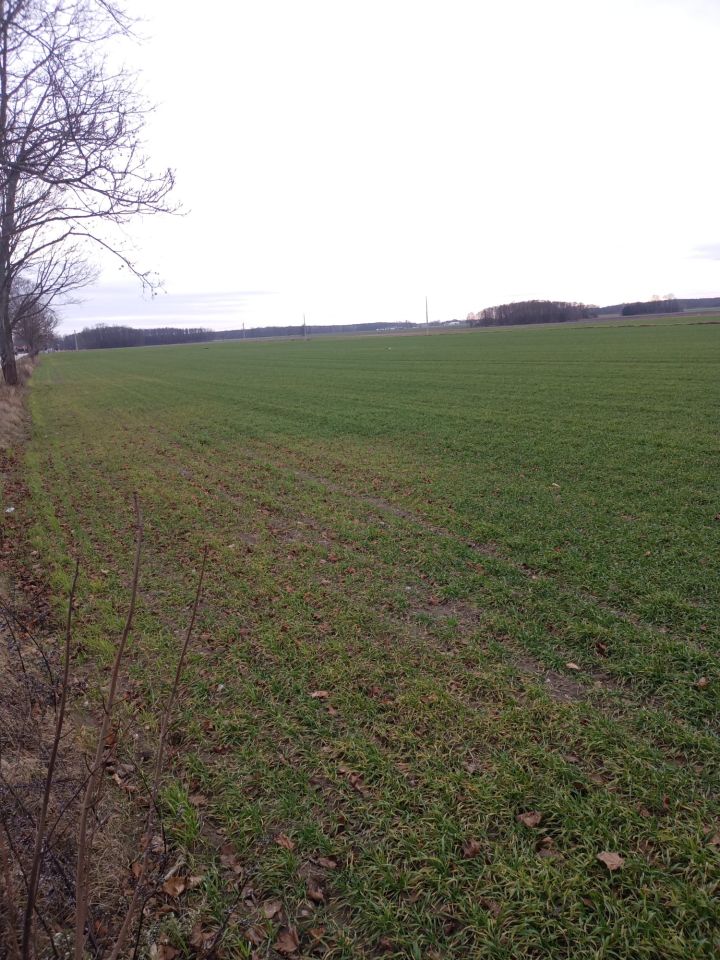 Działka budowlana Winnica, ul. Warszawska. Zdjęcie 5