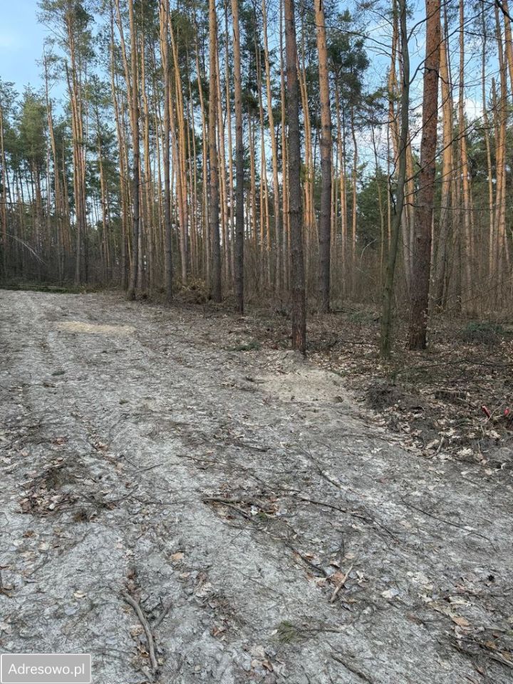 Działka Krasnobród. Zdjęcie 2