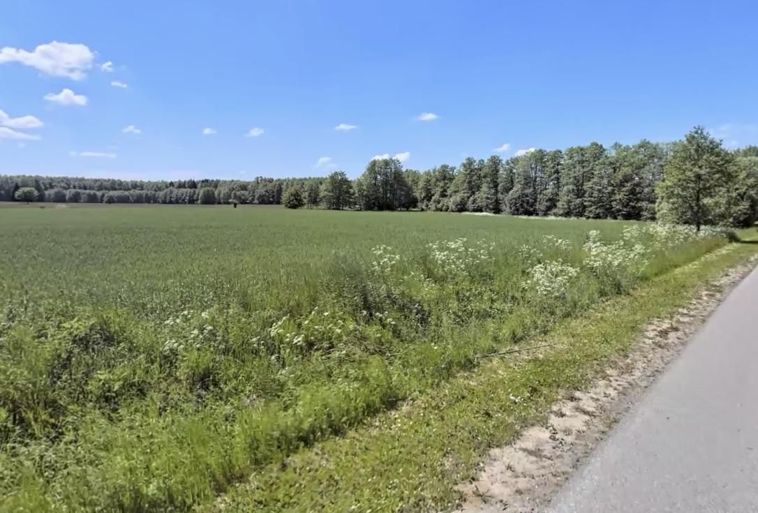 Działka rolna Mościska, Mościska. Zdjęcie 2