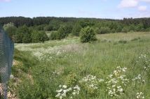 Działka rolno-budowlana Barczewko. Zdjęcie 1