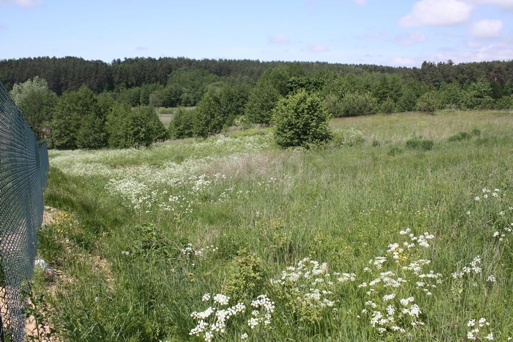 Działka rolno-budowlana Barczewko. Zdjęcie 2