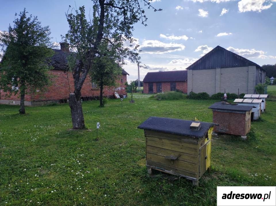 Działka siedliskowa Zieleniec. Zdjęcie 3
