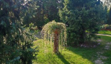 Działka rod Grodzisk Mazowiecki, ul. Akacjowa