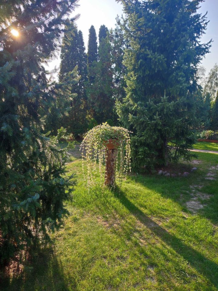 Działka rod Grodzisk Mazowiecki, ul. Akacjowa. Zdjęcie 2