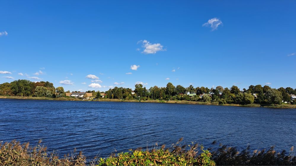 Działka rod Chełmża. Zdjęcie 2