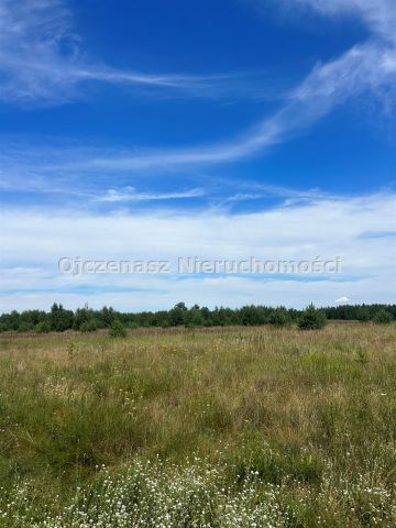 Działka budowlana Osielsko. Zdjęcie 3