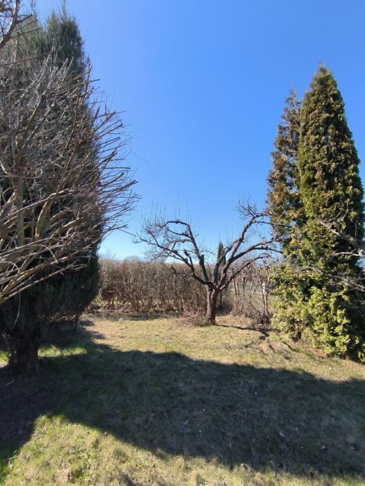 Działka rod Pruszcz Gdański. Zdjęcie 5