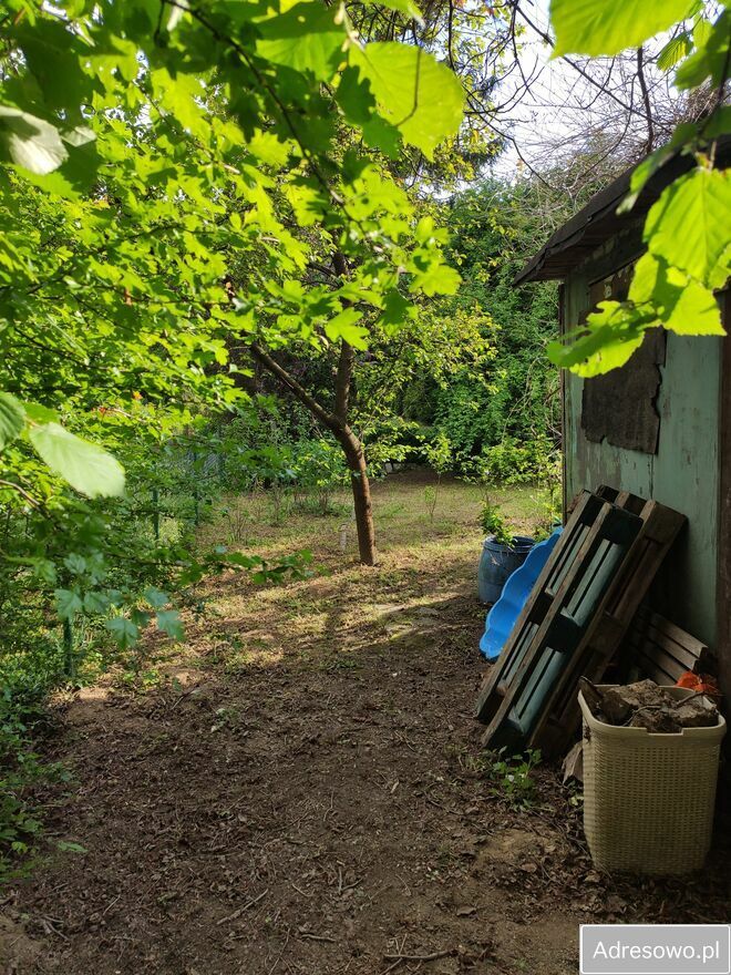 Działka rod Kraków Płaszów, ul. Golikówka. Zdjęcie 15