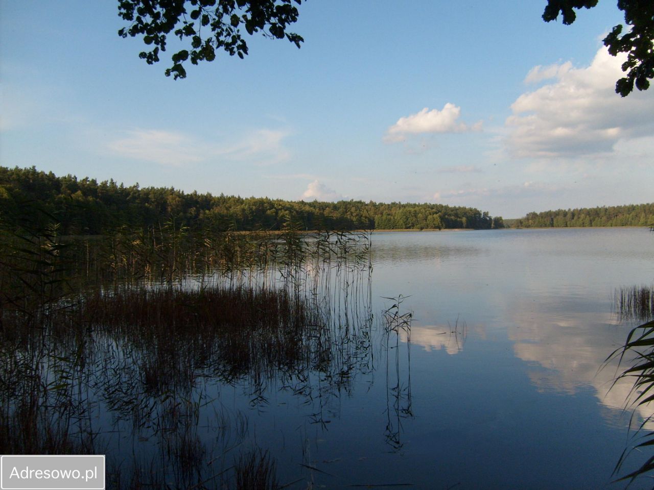 Działka budowlana Kanigowo. Zdjęcie 10
