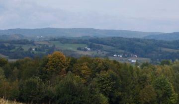 Działka rekreacyjna Gogołów