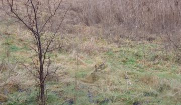 Działka rolno-budowlana Labuszewo