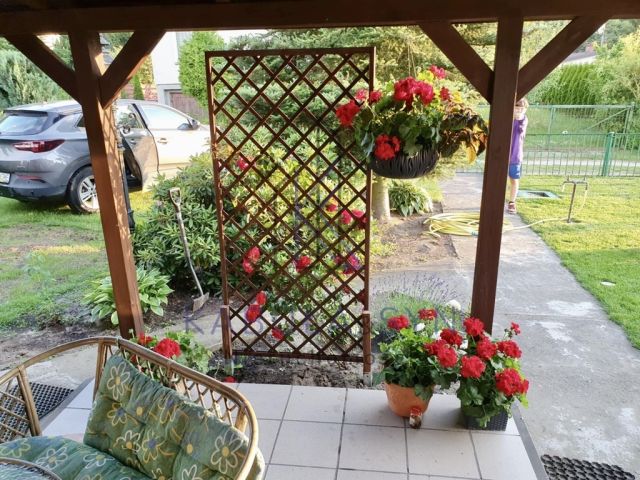 Działka rekreacyjna Nekla. Zdjęcie 4