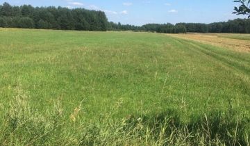 Działka budowlana Kowalowce