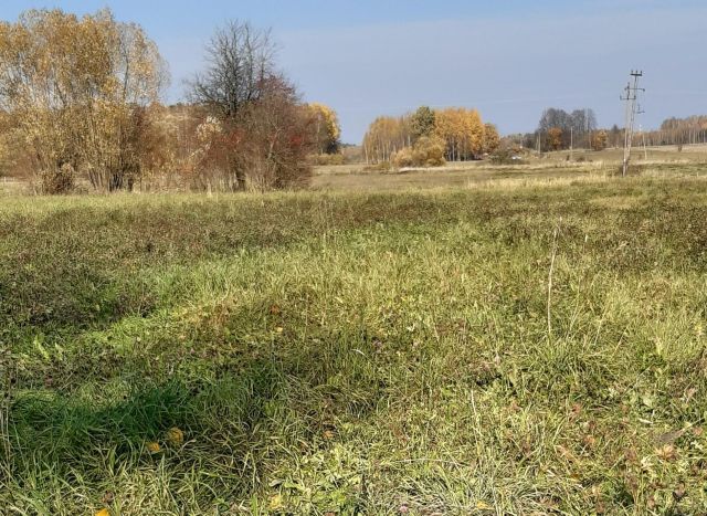 Działka siedliskowa Topolany. Zdjęcie 7