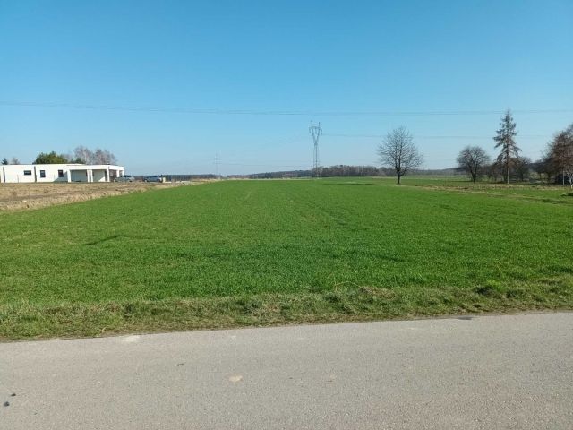 Działka budowlana Prawiedniki-Kolonia. Zdjęcie 1