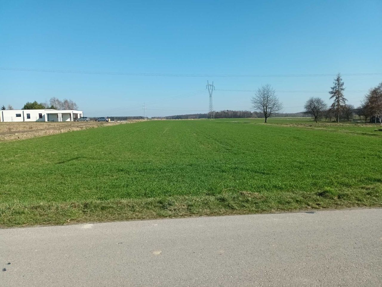 Działka budowlana Prawiedniki-Kolonia