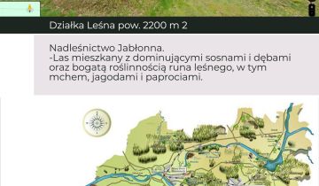 Działka leśna Nowa Wieś-Śladów