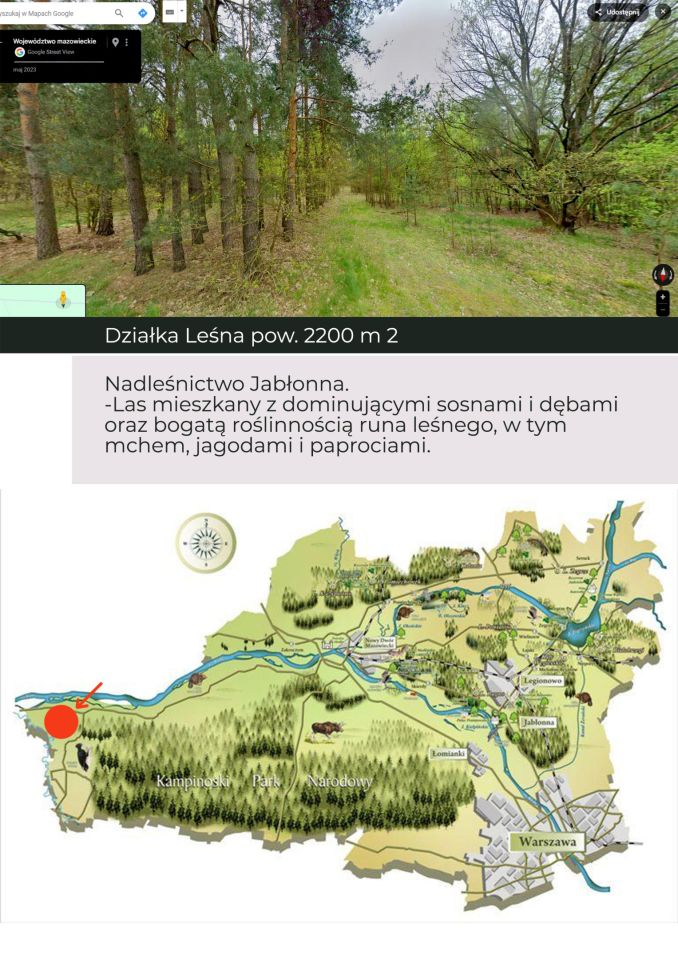 Działka leśna Nowa Wieś-Śladów. Zdjęcie 2