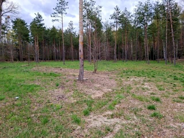 Działka budowlana Rydzewo, ul. Mazurska. Zdjęcie 6