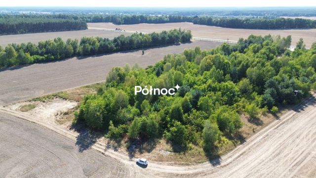 Działka inwestycyjna Dąbrowa Bolesławiecka. Zdjęcie 15
