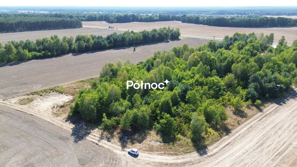Działka inwestycyjna Dąbrowa Bolesławiecka. Zdjęcie 15
