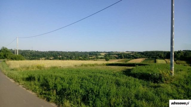 Działka rolna Jędrzejowice. Zdjęcie 1