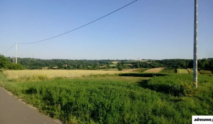 Działka rolna Jędrzejowice