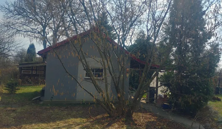 Działka rod Szczecin Warszewo, ul. Rostocka