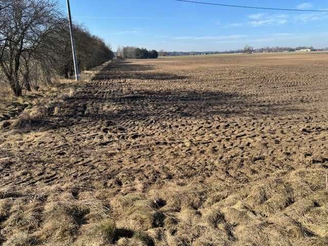 Działka budowlana Zbietka. Zdjęcie 7