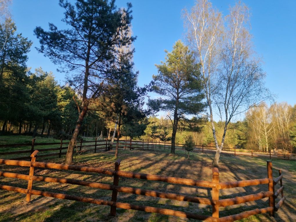 Działka rekreacyjna Chorzeszów. Zdjęcie 6