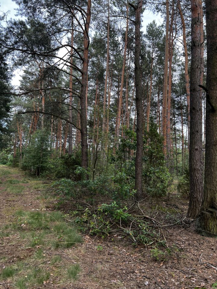 Działka budowlana Anastazew. Zdjęcie 8