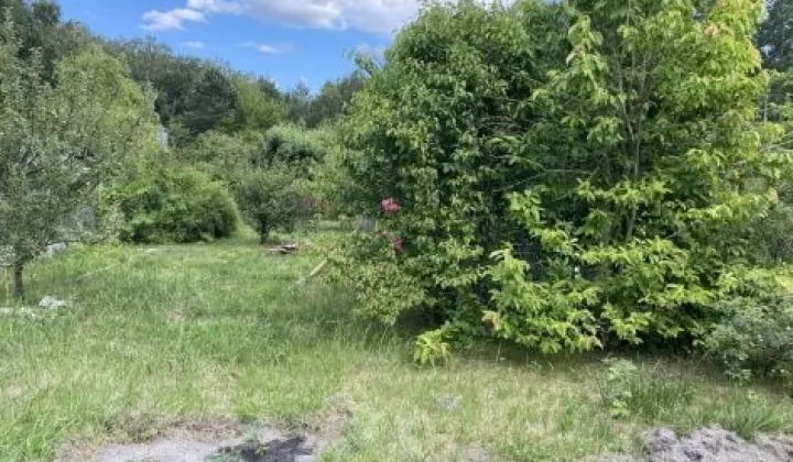 Działka rod Zielonka