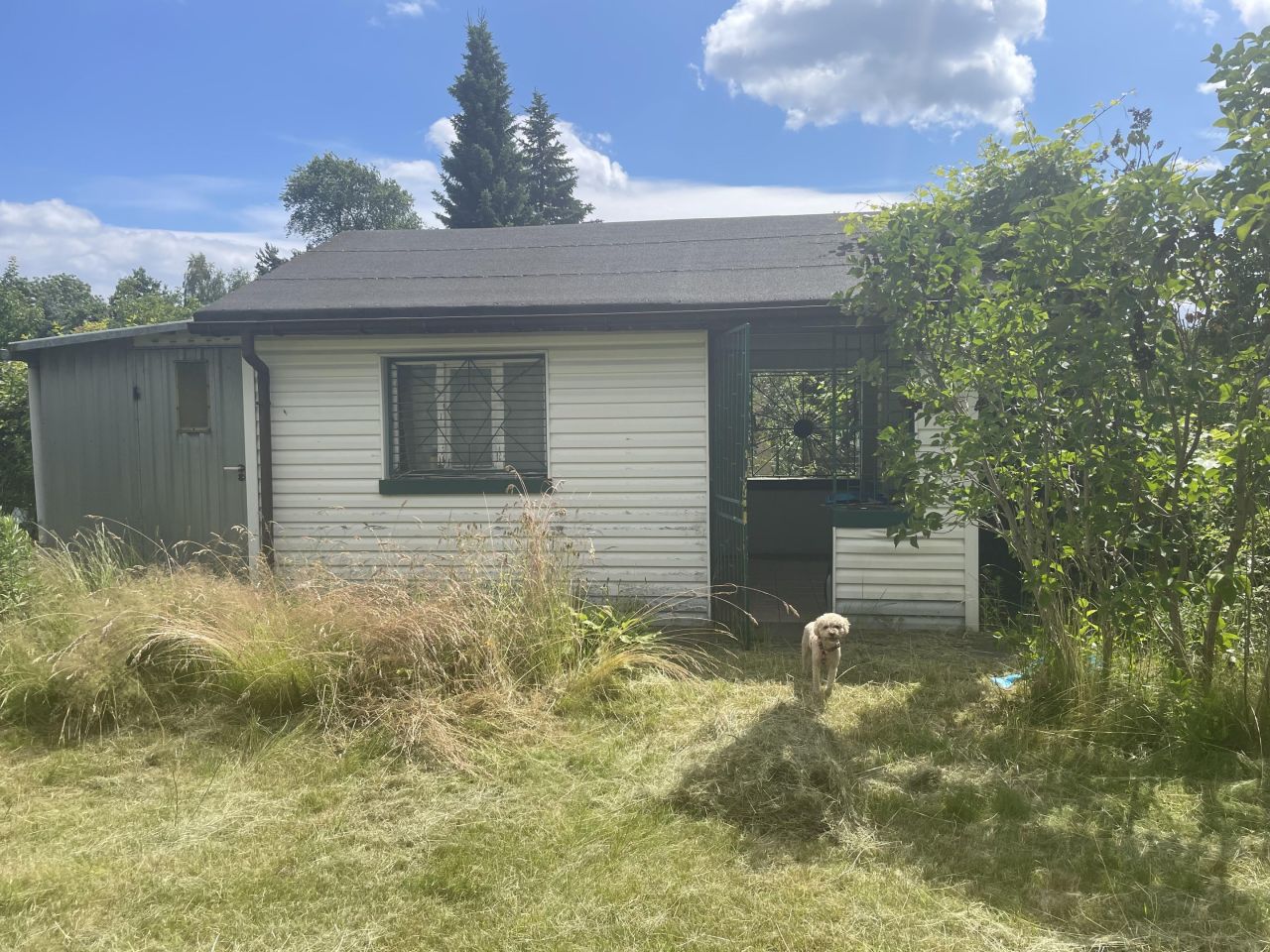 Działka rod Chyliczki. Zdjęcie 7