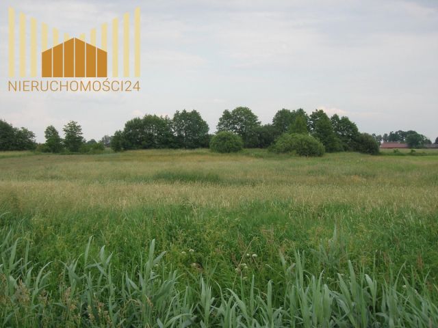 Działka rolna Siennica. Zdjęcie 3