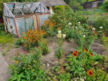 Działka rod Chełm, ul. Żabia. Zdjęcie 3