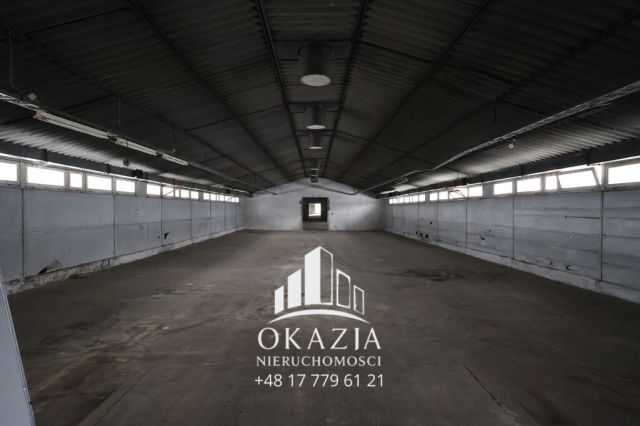 Hala/magazyn Wysoka Głogowska. Zdjęcie 14