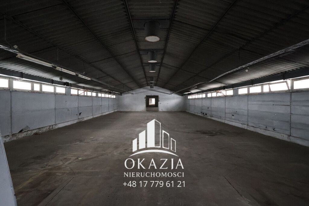 Hala/magazyn Wysoka Głogowska. Zdjęcie 14