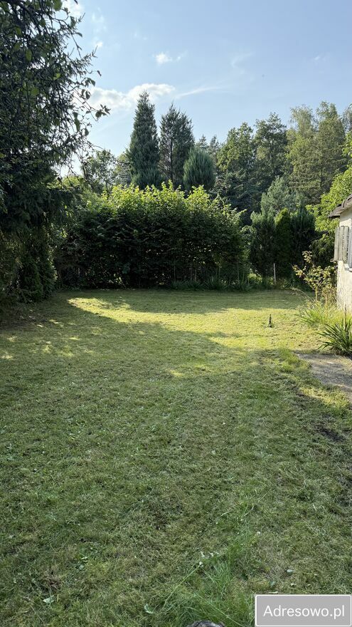 Działka rod Toruń Wrzosy. Zdjęcie 7