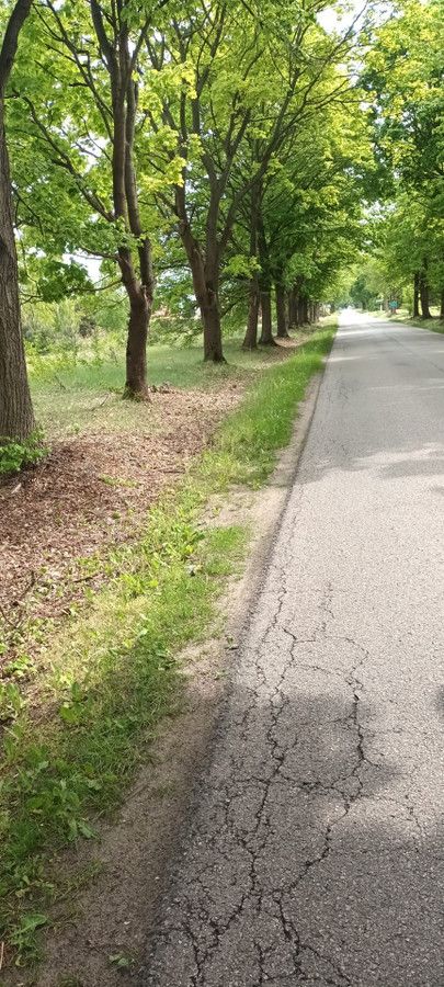 Działka inwestycyjna Kozły. Zdjęcie 8