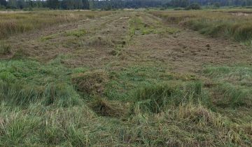 Działka rolna Mąkosy Stare