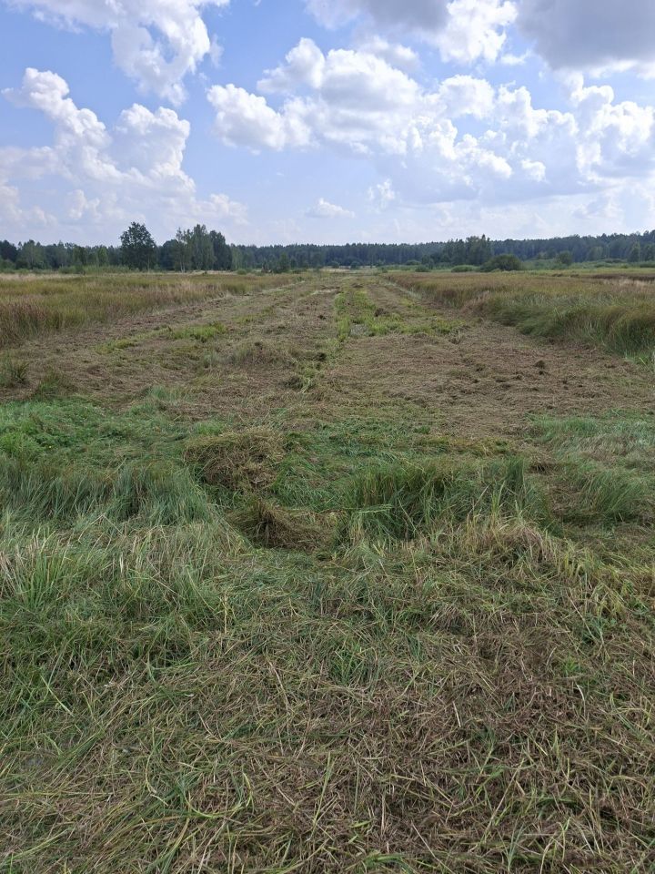 Działka rolna Mąkosy Stare. Zdjęcie 2